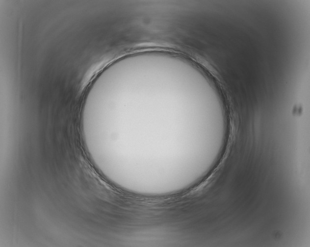 X0000111011357200906191158