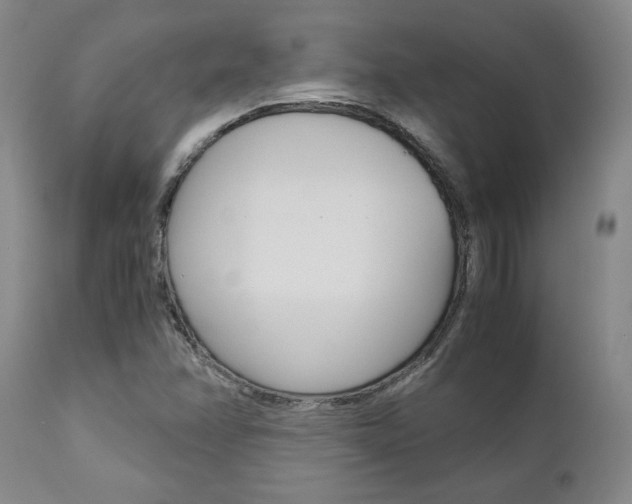 X0000111011358200906191158