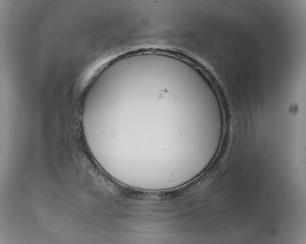 X0000111011359200906191158