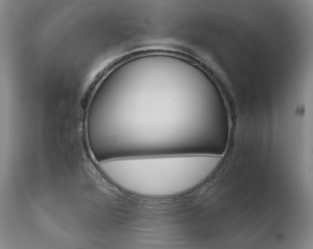 X0000111011360200906191157
