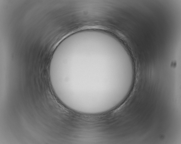 X0000111011361200906191157