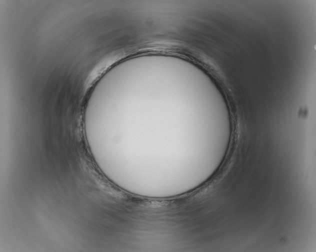 X0000111011362200906191157