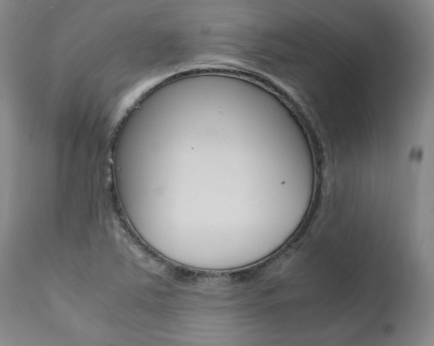 X0000111011363200906191157