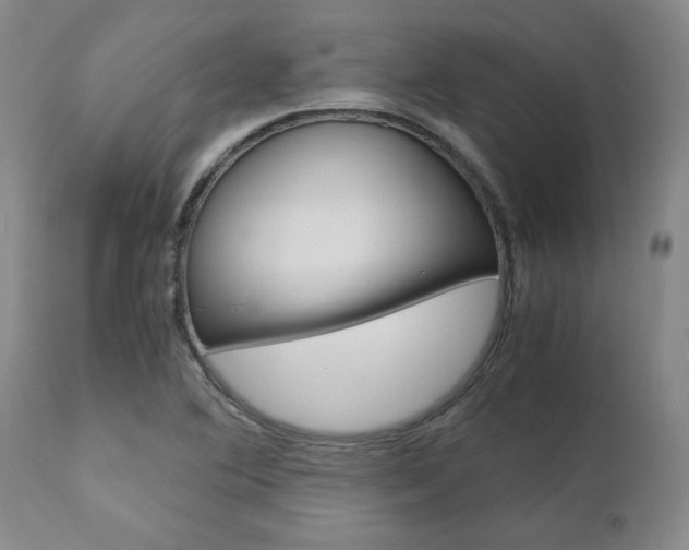 X0000111011364200906191157