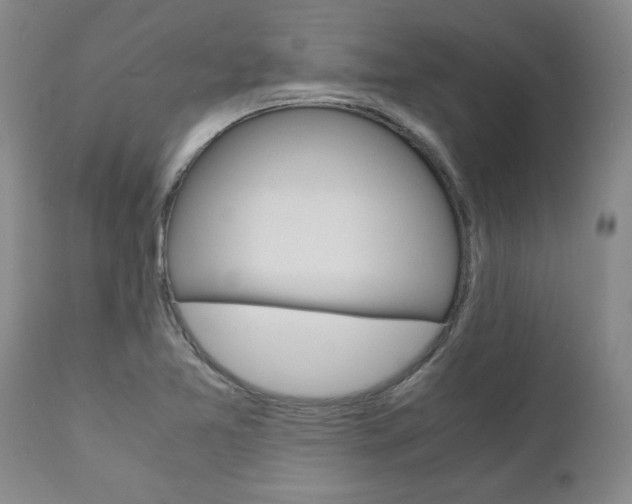 X0000111011365200906191157