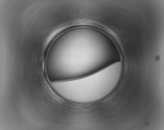 X0000111011368200906191157