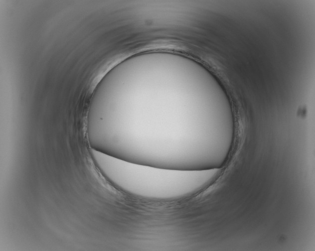 X0000111011369200906191157