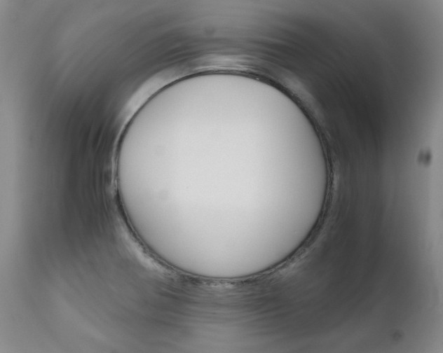 X0000111011370200906191157