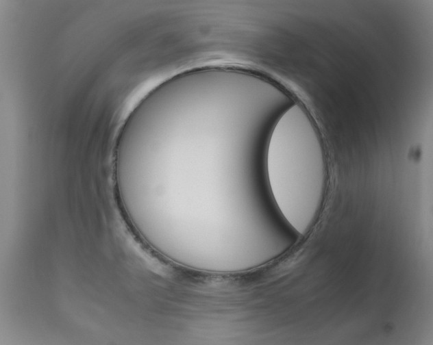 X0000111011375200906191157