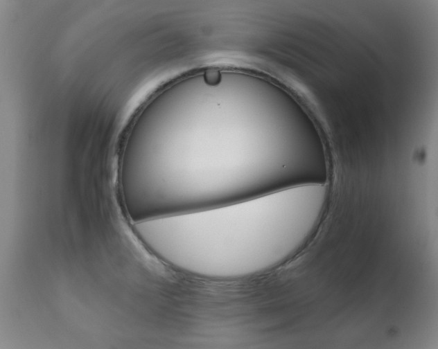 X0000111011376200906191157