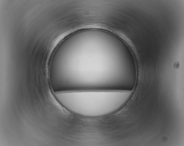 X0000111011380200906191157