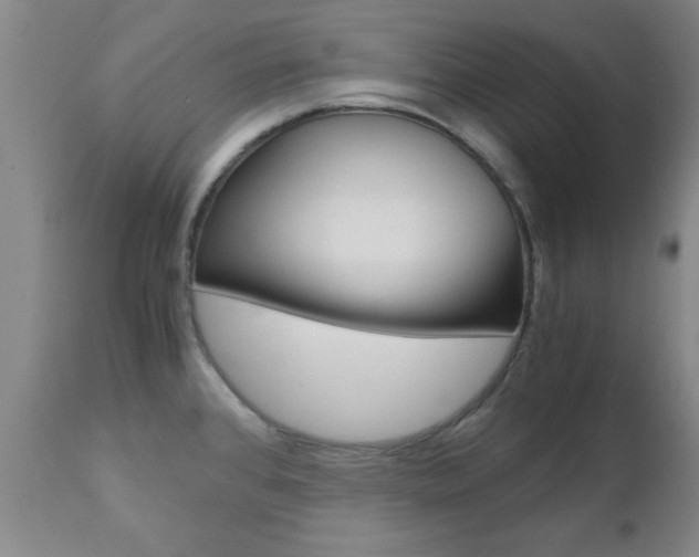 X0000111011384200906191157