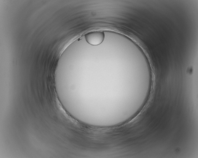 X0000111011385200906191157