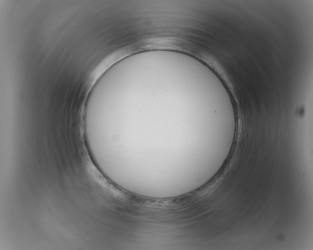X0000111011386200906191157