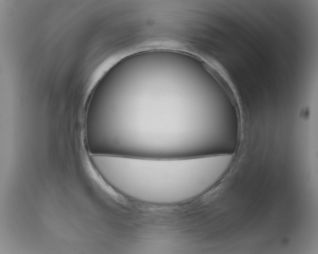 X0000111011389200906191157