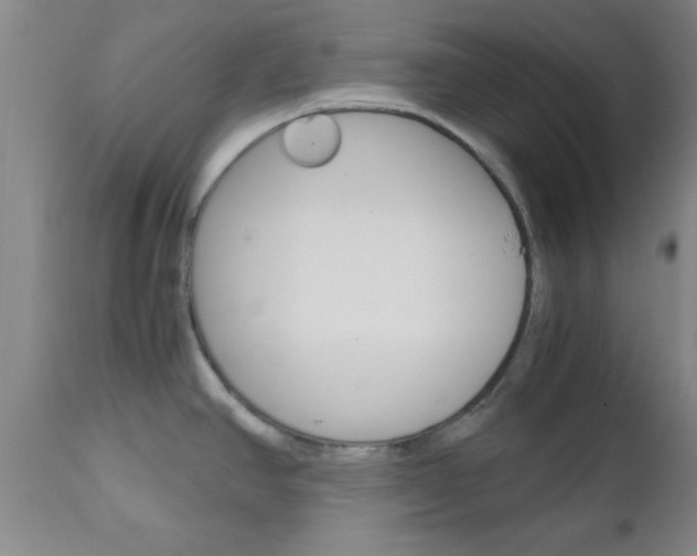 X0000111011390200906191157