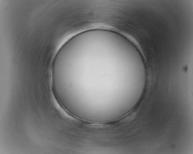 X0000111011391200906191157