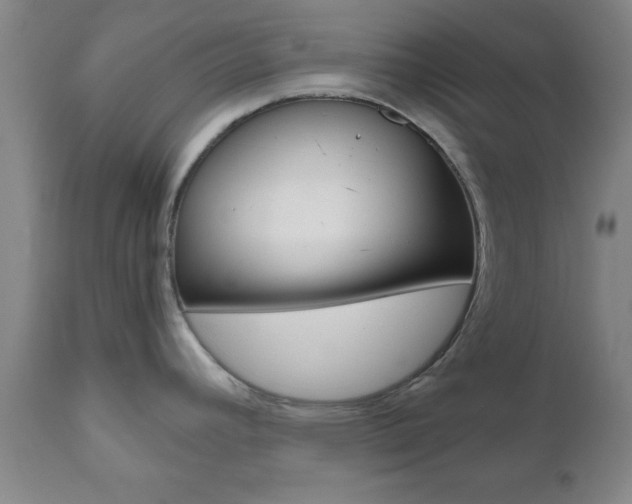 X0000111011392200906191157
