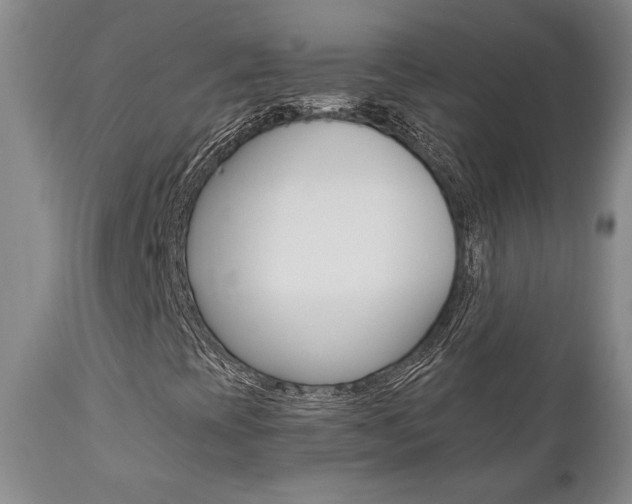 X0000111011393200906191156