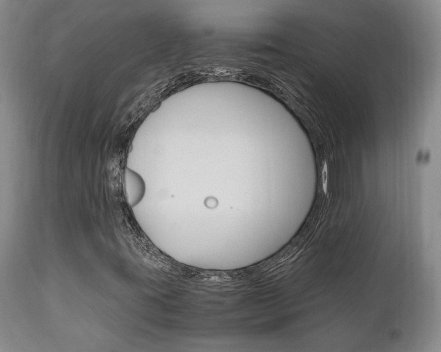 X0000111011395200906191156