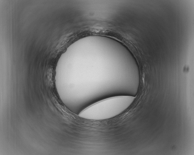 X0000111011396200906191156