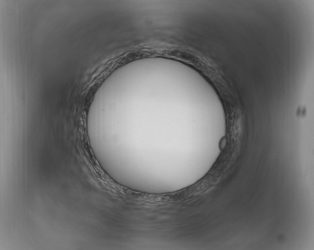 X0000111011397200906191156