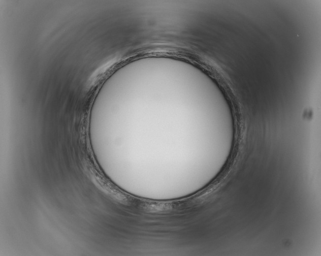 X0000111011403200906191157