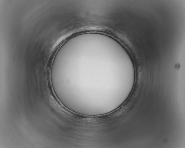 X0000111011404200906191157