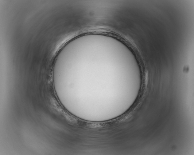 X0000111011405200906191157