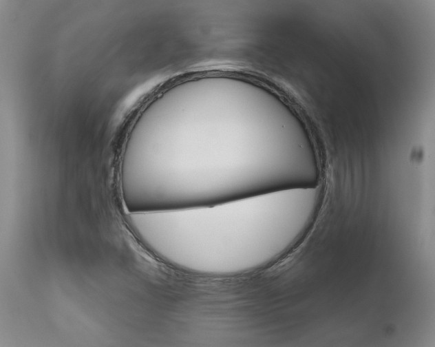 X0000111011406200906191157