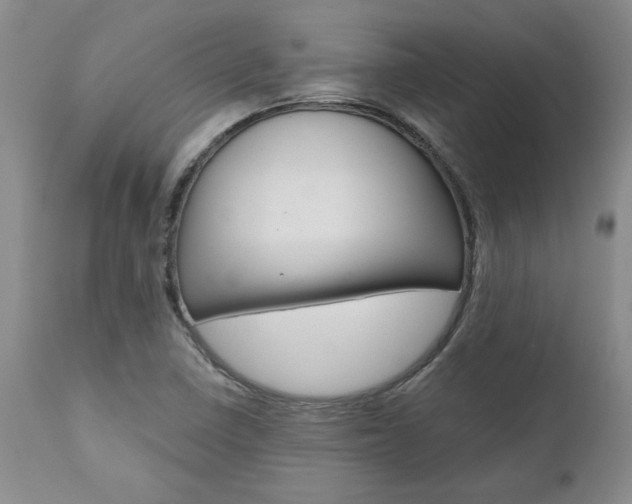 X0000111011410200906191157