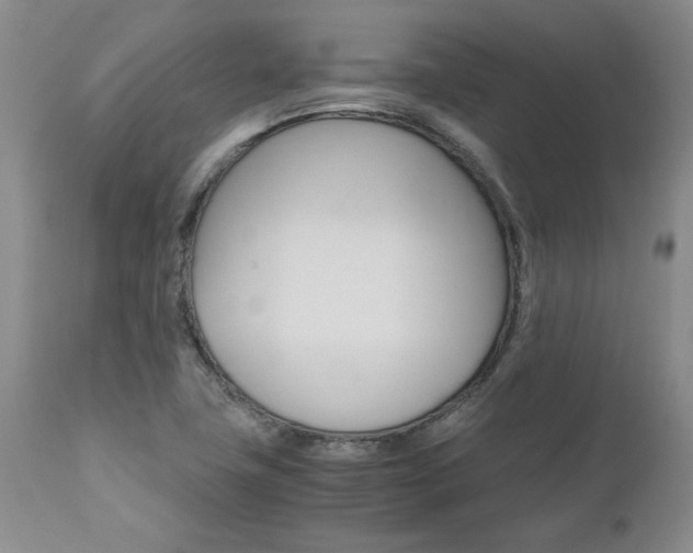 X0000111011411200906191157
