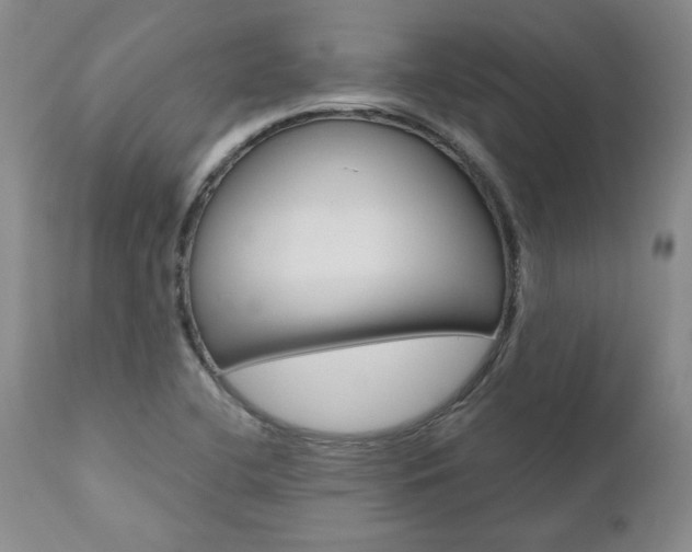 X0000111011412200906191157