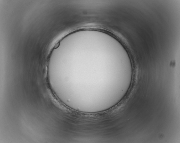 X0000111011413200906191157