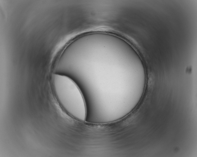 X0000111011414200906191157