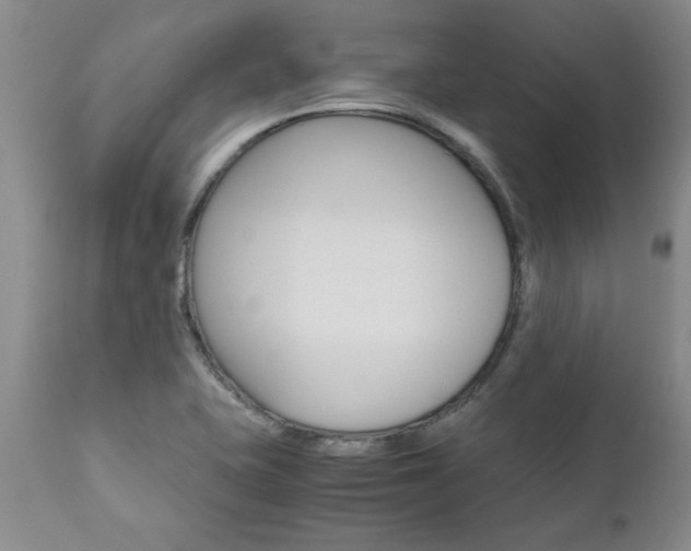 X0000111011415200906191157