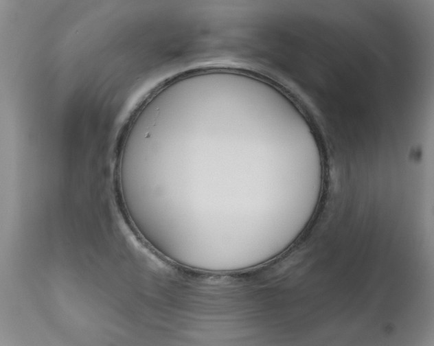 X0000111011416200906191157