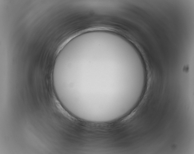 X0000111011417200906191157