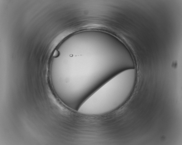 X0000111011418200906191157