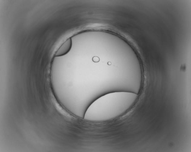 X0000111011421200906191157