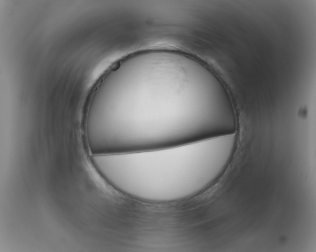X0000111011422200906191157