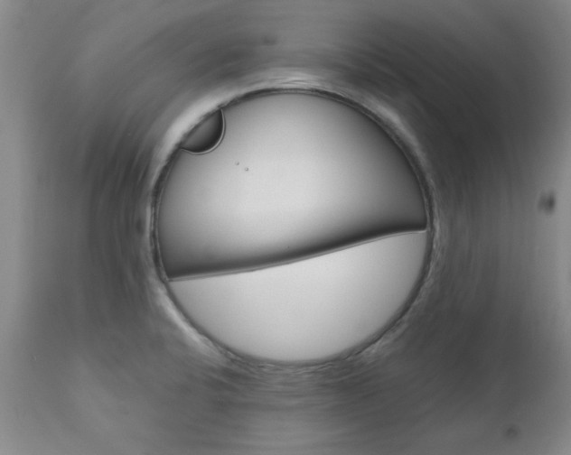X0000111011424200906191157