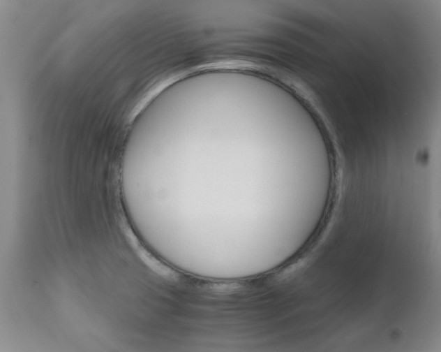 X0000111011425200906191157