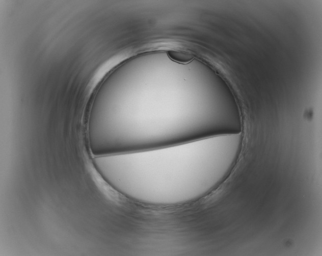 X0000111011426200906191157