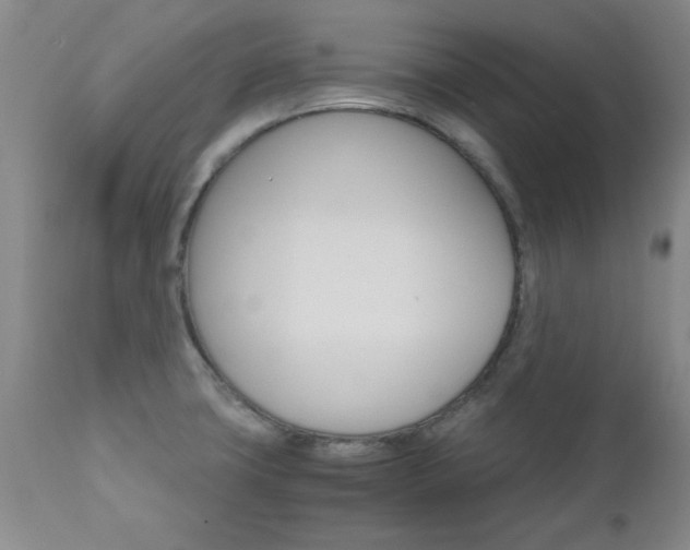 X0000111011427200906191157