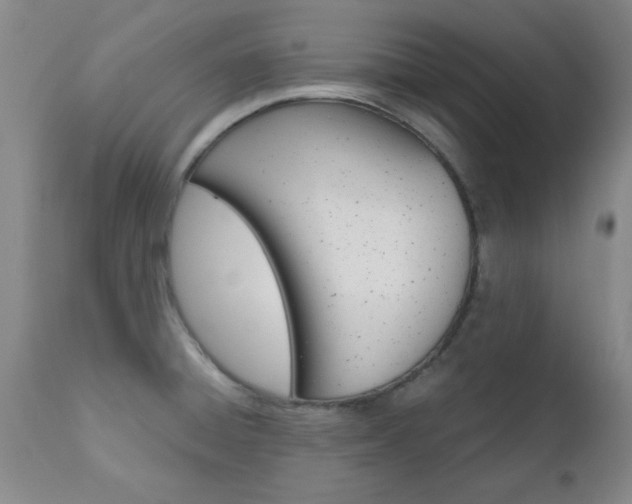 X0000111011428200906191157