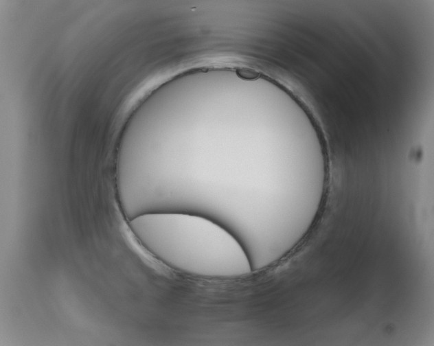 X0000111011429200906191157