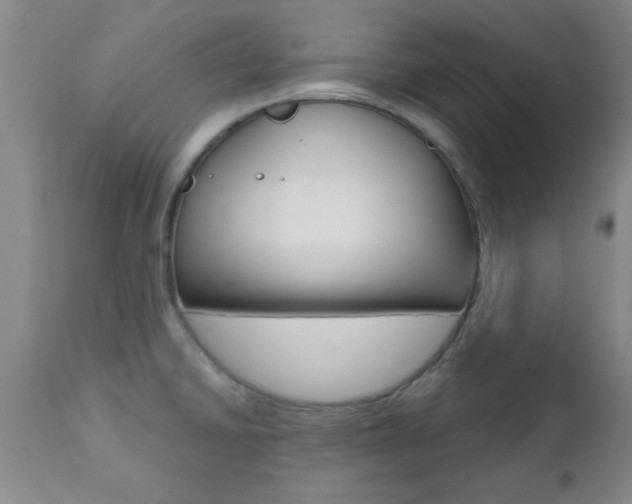 X0000111011430200906191157
