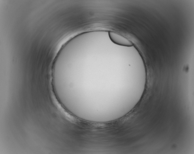 X0000111011431200906191157