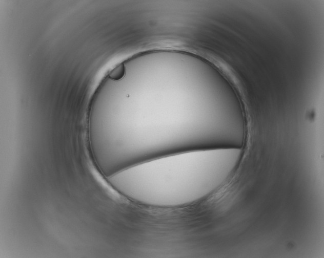 X0000111011432200906191157